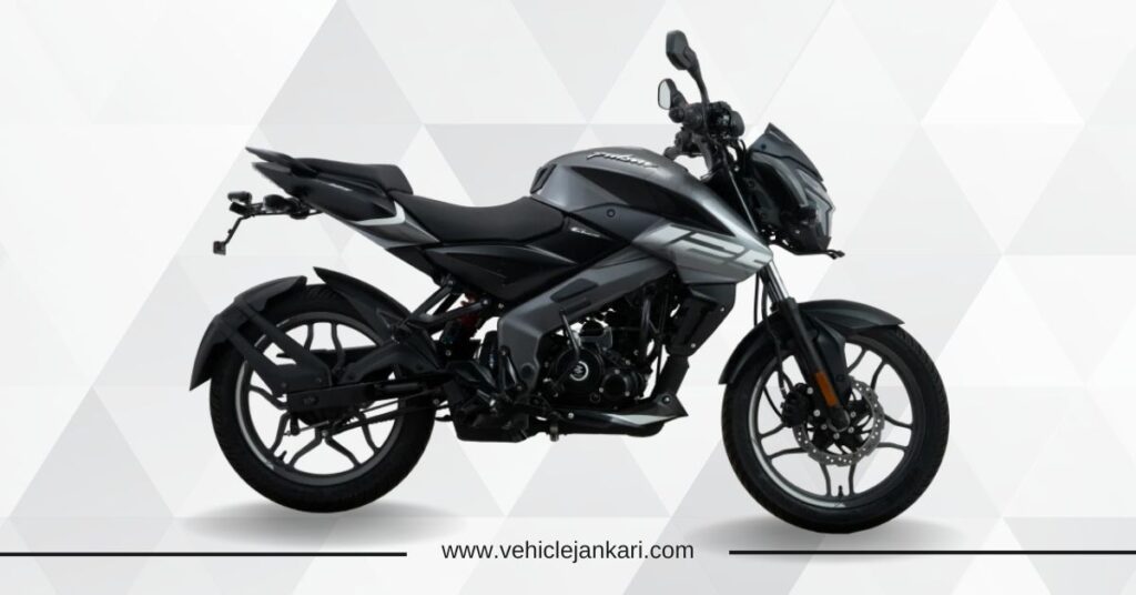 Bajaj Pulsar NS 125  : Pewter Grey